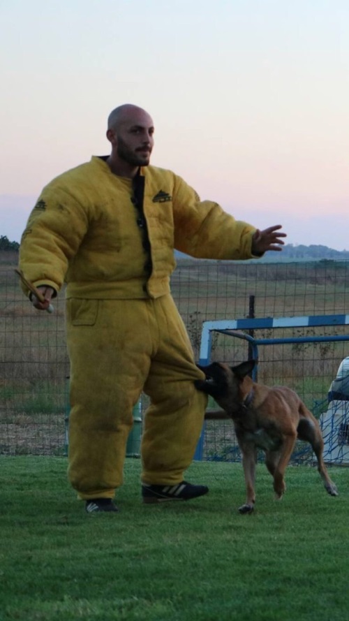 dog bite suit online