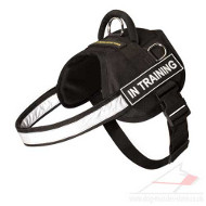 Light-Reflecting Harness for Small and Large Dogs, Nylon