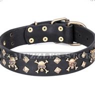 Artisan Leather Pirate Dog Collar with Brass Skulls and Studs