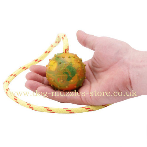 solid rubber dog ball on rope