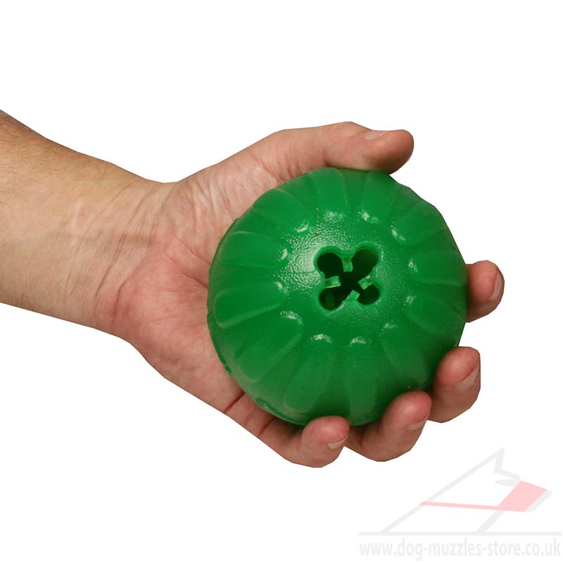 indestructible dog toys uk