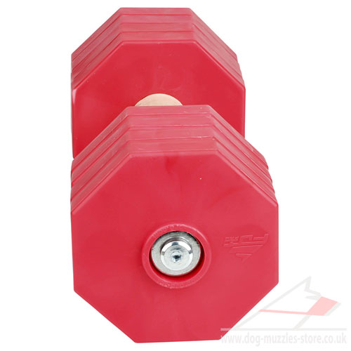 wood dog dumbbell