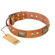 New Leather dog collar FDT Artisan 'Saucy Nature' New Leather dog collar FDT Artisan 'Saucy Nature'