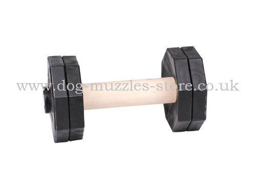 IGP Dumbbell for Dogs Training