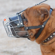 Shar Pei Muzzle UK | Best Dog Muzzle for Shar Pei Dogs