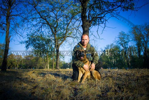 Shepherd Service Dog Training