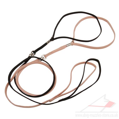 Regulated Dog Collar and Lead