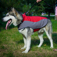 Siberian Husky Dog Jacket Waterproof and Warm Design