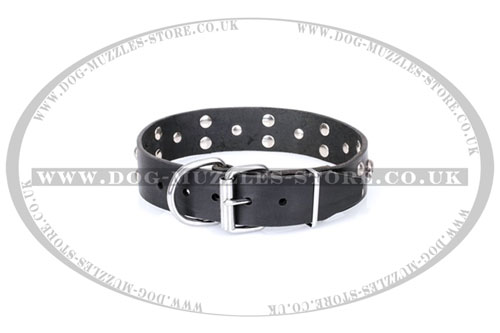 Artisan skull bones dog collar online