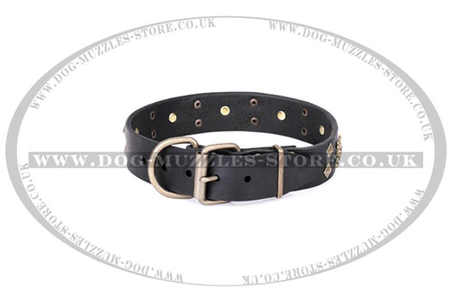 buy Skull bones dog collar FDT Artisan UK