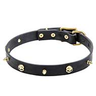 Designer Dog Collar with Golden Brainpans for Small/Large Dogs