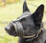 Padded Dog Muzzle for German Shepherd | Leather Dog Muzzle GSD