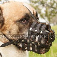 Padded Leather Dog Muzzle with Nappa Lining for Alabai Padded Leather Dog Muzzle with Nappa Lining for Alabai