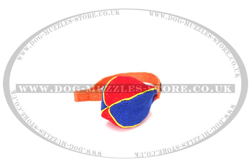 dog tug training toy