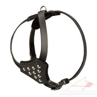 Soft Leather Dog Harness for Spaniel