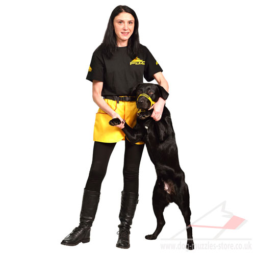 dog training skirt for treats