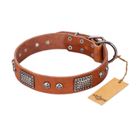 Adorable Designer Dog Collar FDT Artisan 'Sparkling Skull' Adorable Designer Dog Collar FDT Artisan 'Sparkling Skull'