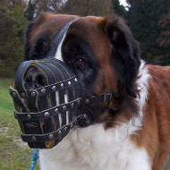 St Bernard Dog Muzzle