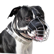 Staffie Muzzles Basket Form - Dog Muzzles That Allow Drinking