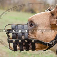 Leather Dog Muzzle for Amstaff