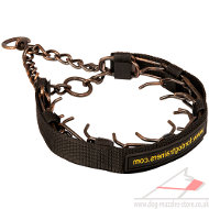 Steel Dog Collar Copper Plated | Prong Dog Collar UK