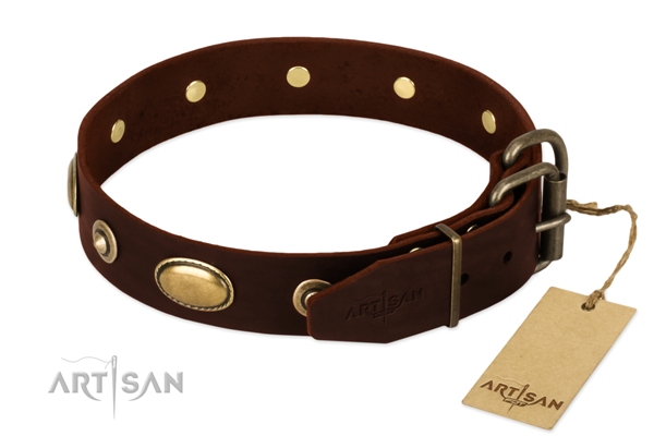 Artisan brass dog collar buckle
