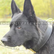 Super Strong Dog Collar for GSD, 2 Ply Leather!