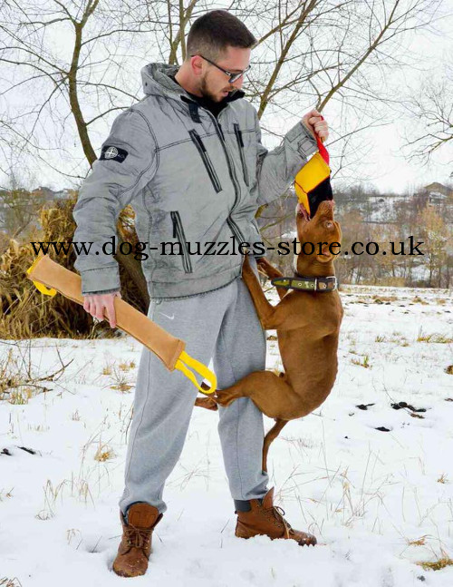 large dog tug for sale