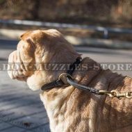 The Best Collar for Shar Pei Training, Round Leather Choker