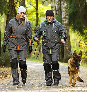 professional dog training apparel for sale