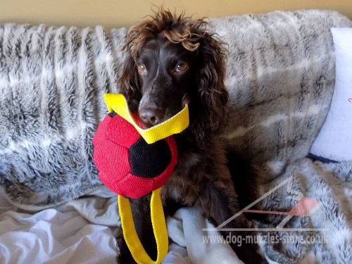 soft dog soccer ball