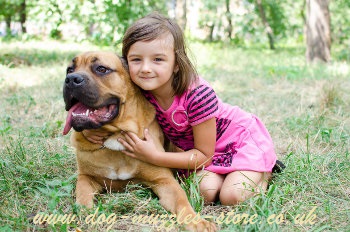 therapy dogs for kids