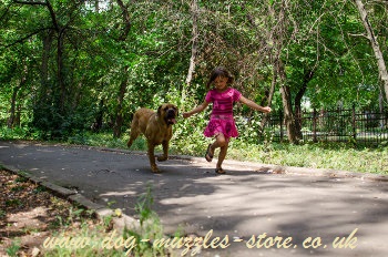 therapy dogs for kids