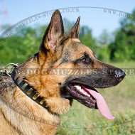 Thick and Strong Leather Dog Collar for German Shepherd