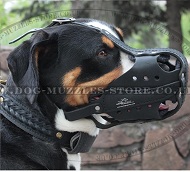 Top Quality Swiss Mountain Dog Training Muzzle