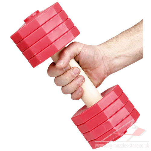 order dumbbell shaped dog toy