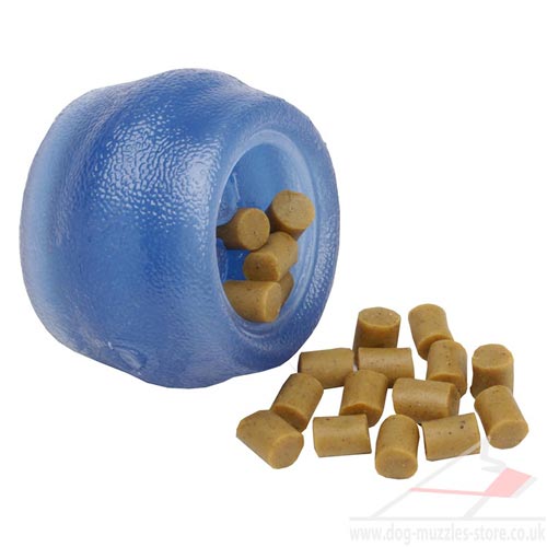 cool dog toys for small dogs