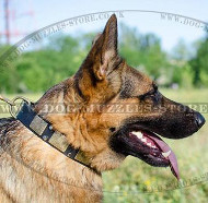 GSD Best Dog Collar with Brass Plates and Pyramids