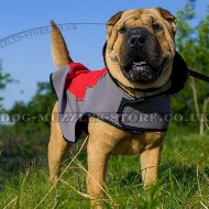 The Best Warm Dog Coat for Shar Pei Walking in Frost and Rain