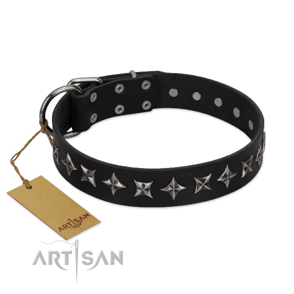 Splendid Black Dog Collar with Stars by FDT Artisan