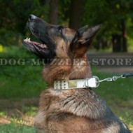 New White Dog Collar with Plates and Spikes for German Shepherd New White Dog Collar with Plates and Spikes for German Shepherd