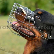 Wire Dog Muzzle That Allows Drinking