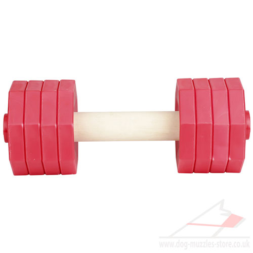 buy IGP dumbbells for sale