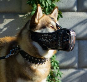 The types of dog muzzles